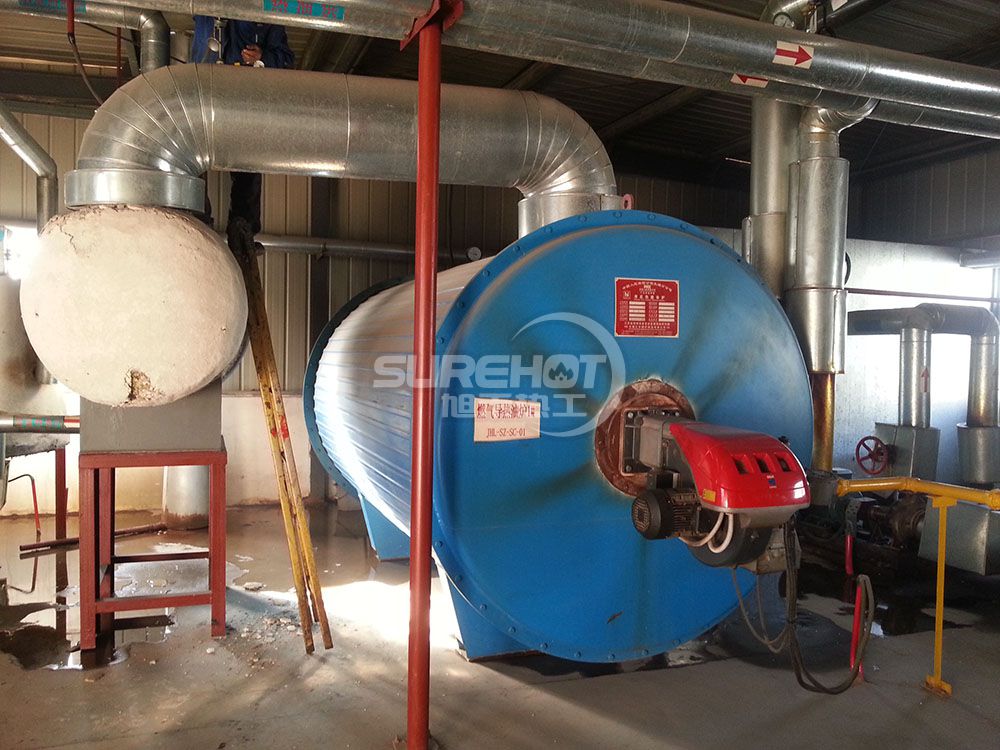 廊坊臺灣工業園 2.0MW天然氣柴油兩用導熱油爐燃燒器